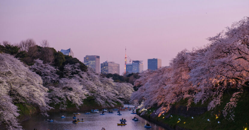 Highlights während eines Urlaubs in Japan